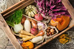 assortment of southern organic root vegetables