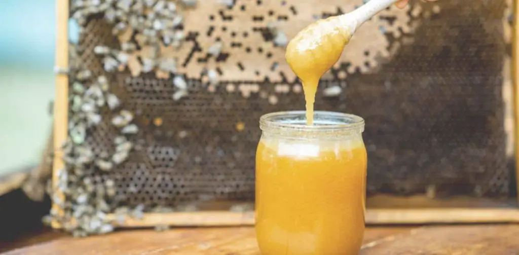 southern fresh honey beehive